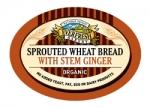 Everfresh Organic Sprouted Stem Ginger Bread 400g - Greenlands Health Store
