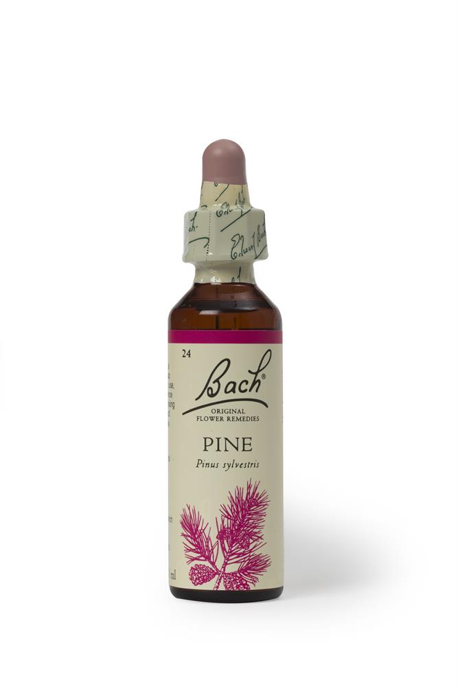 Bach Original Flower Remedies Pine 20ml - Greenlands Health Store