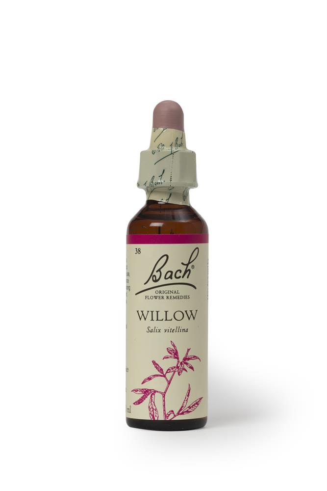 Bach Original Flower Remedies Willow 20ml - Greenlands Health Store