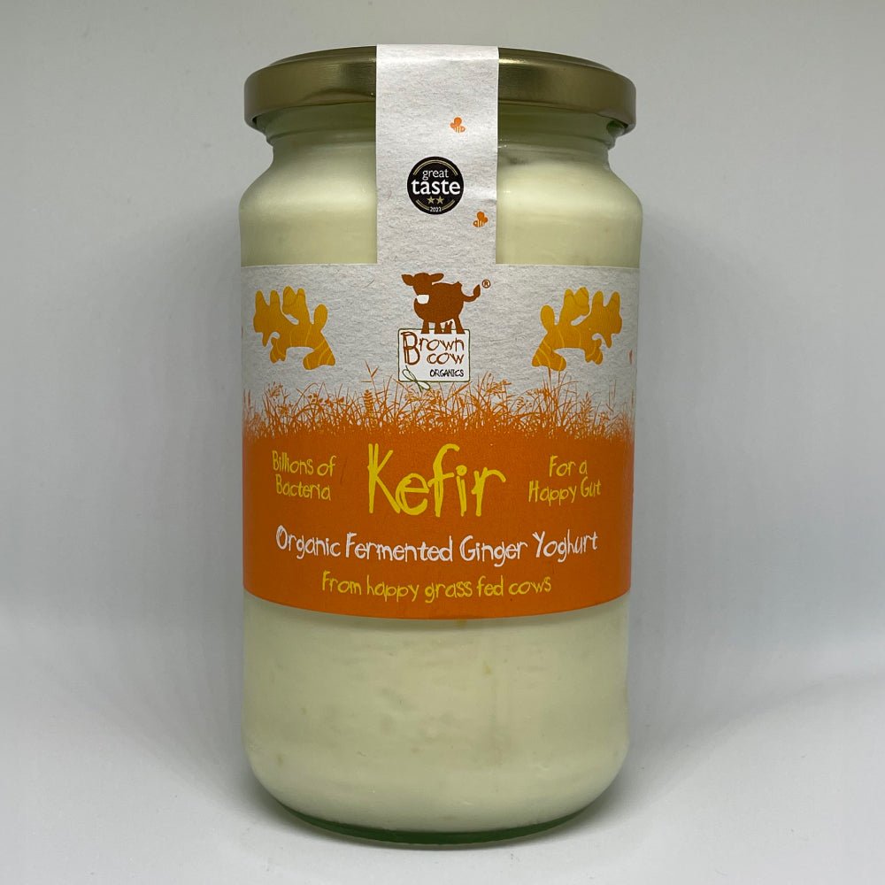 Organic Ginger Kefir Fermented Yoghurt 450g - Greenlands Health Store