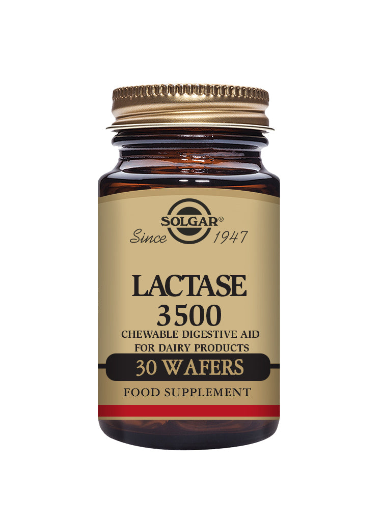 Solgar® Lactase 3500 Wafers - Pack of 30 - Greenlands Health Store