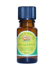 Eucalyptus Essential Oil Organic 10ml - Greenlands Health Store