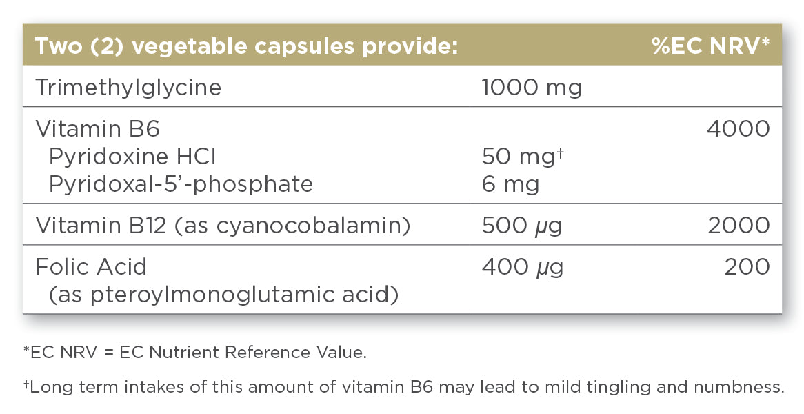 Solgar® Gold Specifics Homocysteine Modulators Vegetable Capsules - Pack of 60 - Greenlands Health Store