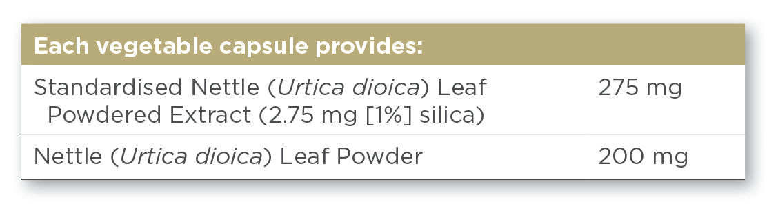 Solgar® Nettle Leaf Extract Vegetable Capsules - Pack of 60 - Greenlands Health Store