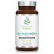 Organic Ashwagandha 500mg 60 capsules - Greenlands Health Store