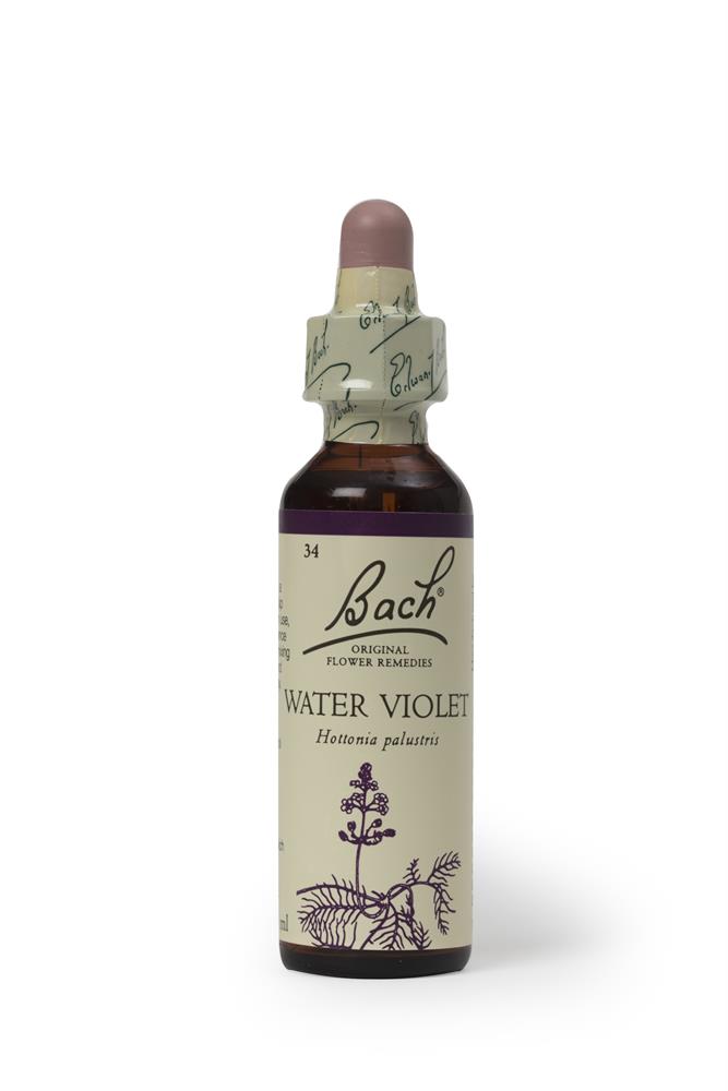 Bach Original Flower Remedies Water Violet 20ml - Greenlands Health Store