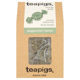 Peppermint leaves 40 tea temples - Greenlands Health Store