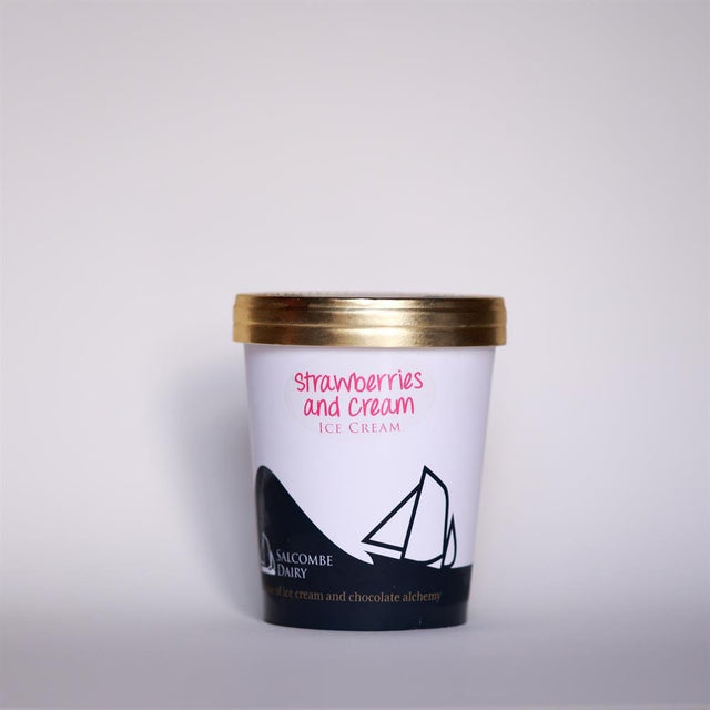 Salcombe Dairy Strawberry & Cream Ice Cream 120ml - Greenlands Health Store
