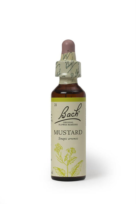 Bach Original Flower Remedies Rock Mustard 20ml - Greenlands Health Store