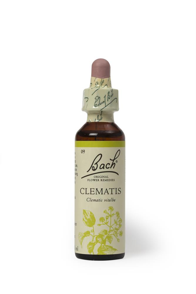 Bach Original Flower Remedies Clematis 20ml - Greenlands Health Store