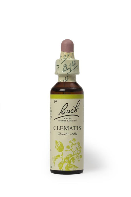 Bach Original Flower Remedies Clematis 20ml - Greenlands Health Store