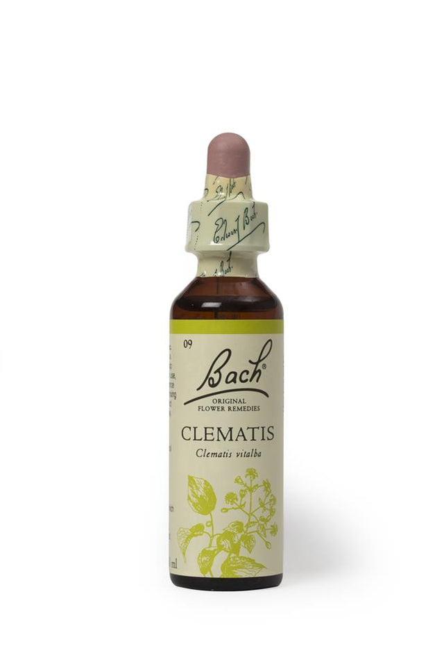 Bach Original Flower Remedies Clematis 20ml - Greenlands Health Store
