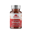 Ayumi Shilajit Extract Vegan Capsule - 60 caps - Greenlands Health Store