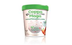 Vegan Coconut & Strawberry Ice Cream 125ml - Greenlands Health Store