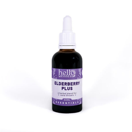 Elderberry Plus 50ml - Greenlands Health Store