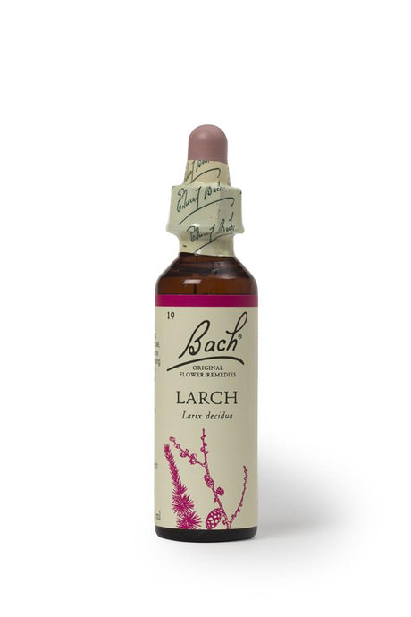 Bach Original Flower Remedies Larch 20ml - Greenlands Health Store
