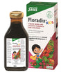 Floradix Kids Iron and vitamin formula for children 250ml - Greenlands Health Store