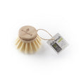 Ecoliving Dish Brush Head Replacement - 1 Unit - Greenlands Health Store