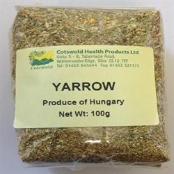 Yarrow Tea 100g - Greenlands Health Store