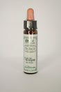 Willow Bach Flower Remedy - Greenlands Health Store
