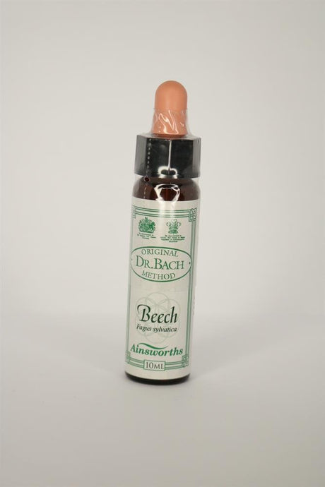 Beech Bach Flower Remedy - Greenlands Health Store