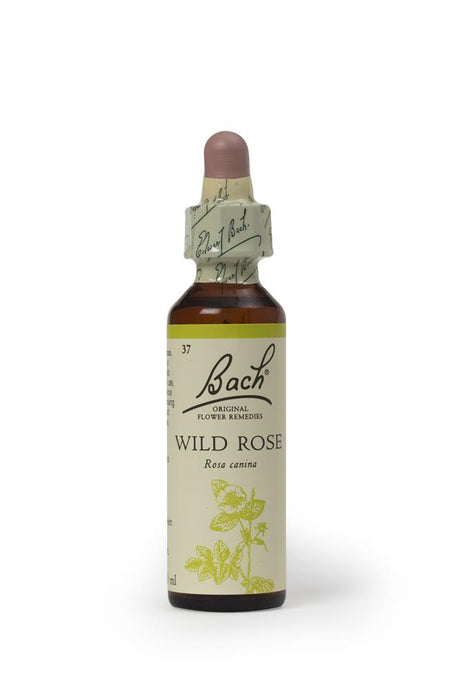 Bach Original Flower Remedies Rock Wild Rose 20ml - Greenlands Health Store