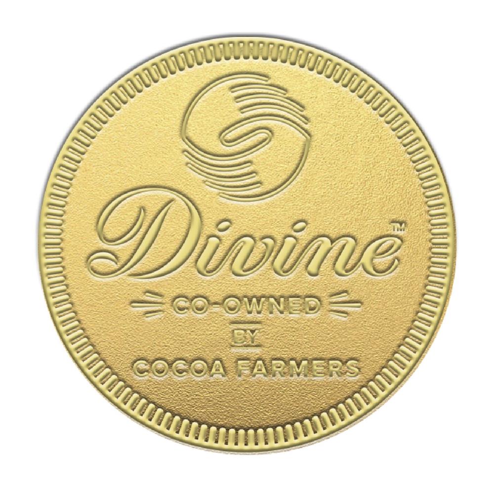 Giant Fairtrade Milk Chocolate Coin - Greenlands Health Store