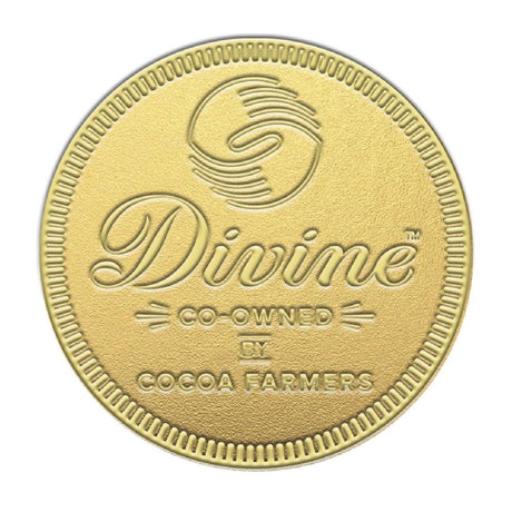 Giant Fairtrade Milk Chocolate Coin - Greenlands Health Store