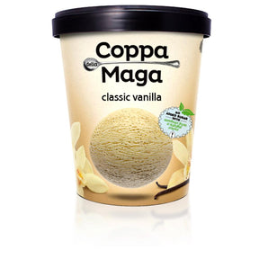 Classic Vanilla Ice Cream 500ml - Greenlands Health Store