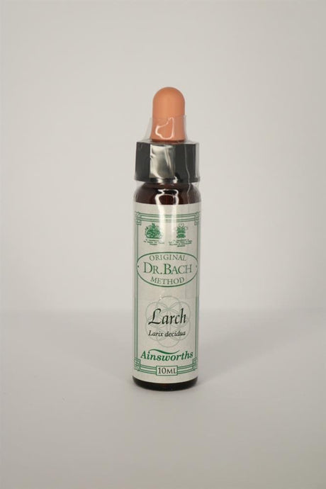 Larch Bach Flower Remedy - Greenlands Health Store