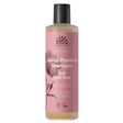 Soft Wild Rose Shampoo 250ml - Greenlands Health Store