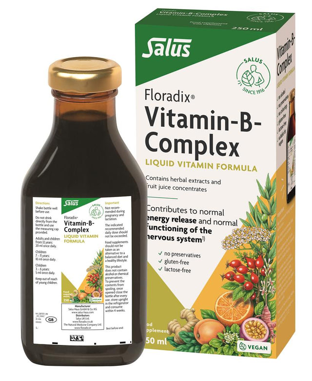 Floradix Vitamin B Complex 250ml - Greenlands Health Store
