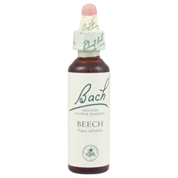 Bach Original Flower Remedies Rock Beech 20ml - Greenlands Health Store