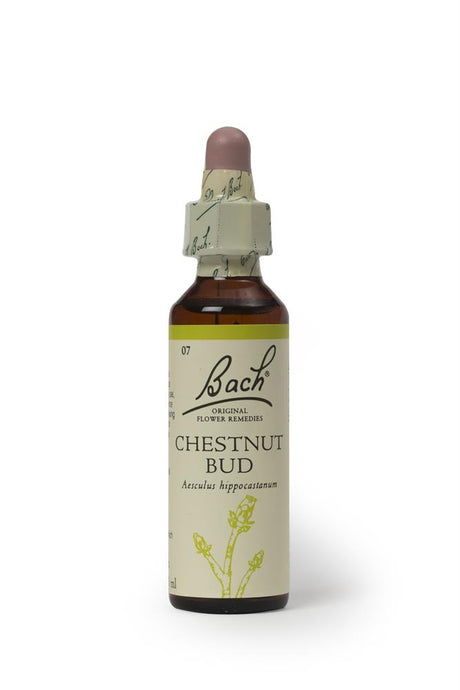 Bach Original Flower Remedies Rock Chestnut Bud 20ml - Greenlands Health Store