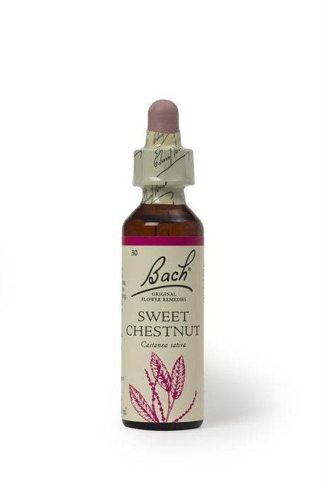 Bach Original Flower Remedies Sweet Chestnut 20ml - Greenlands Health Store