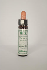 Clematis Bach Flower Remedy - Greenlands Health Store