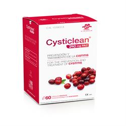 Cysticlean 240mg PAC 60 Capsules - Greenlands Health Store
