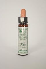 Olive Bach Flower Remedy - Greenlands Health Store