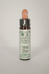 Wild Rose Bach Flower Remedy - Greenlands Health Store
