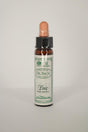 Pine Bach Flower Remedy - Greenlands Health Store