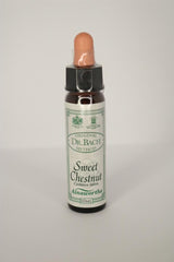 Sweet Chestnut Bach Flower Remedy - Greenlands Health Store