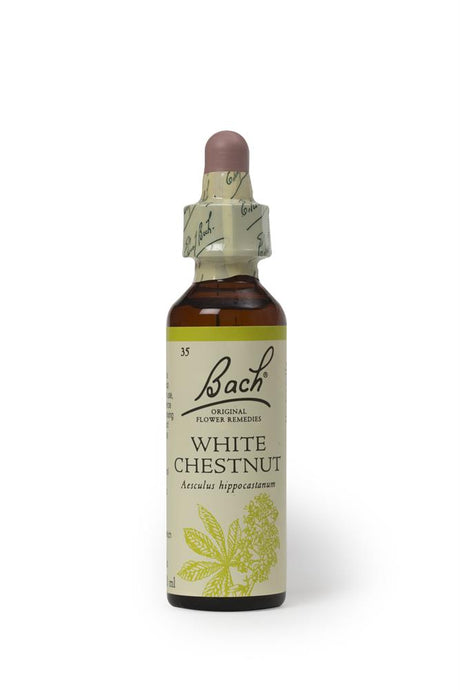 Bach Original Flower Remedies White Chestnut 20ml - Greenlands Health Store