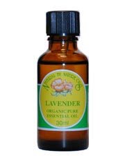 Lavender Organic Essential Oil 30ml - Greenlands Health Store