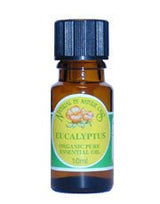 Eucalyptus Essential Oil Organic 10ml - Greenlands Health Store