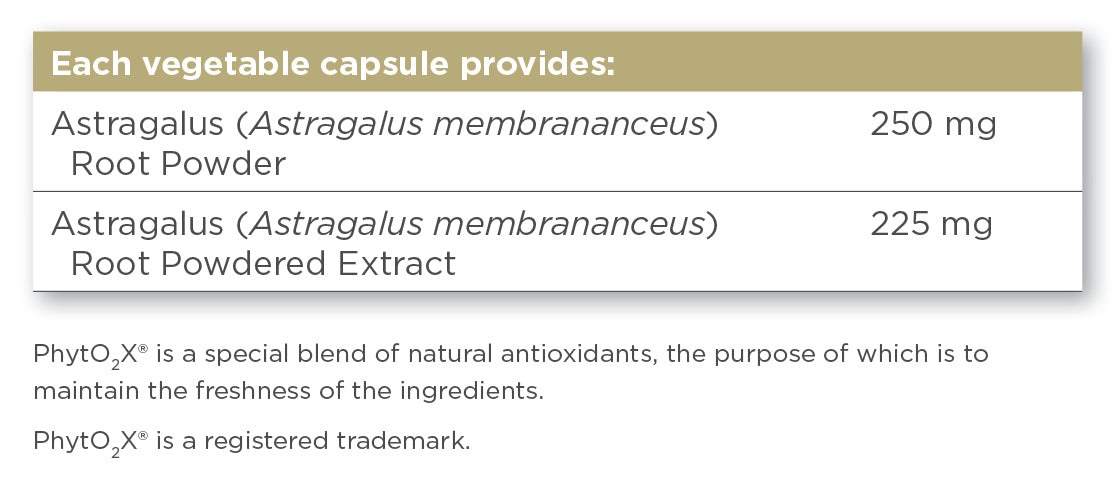 Solgar® Astragalus Root Extract Vegetable Capsules - Pack of 60 - Greenlands Health Store